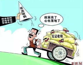 糧食收購(gòu) 筑牢糧食安全的第一道防線(xiàn)